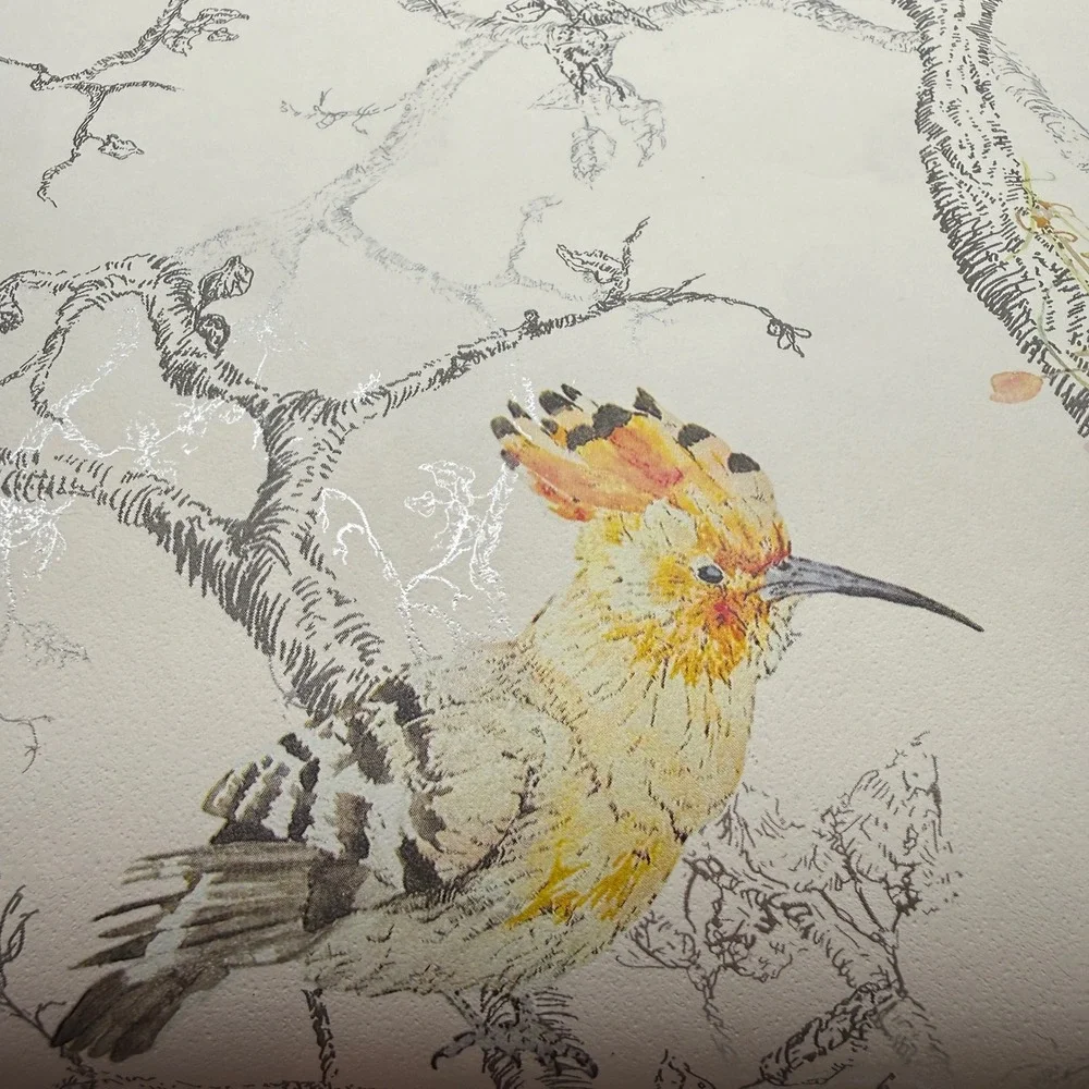Holden Decor Statement Ornithology White/Multi Wallpaper 4 Rolls Bird Nature